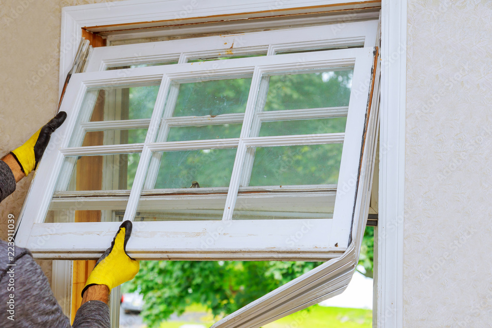 Window Replacement Services