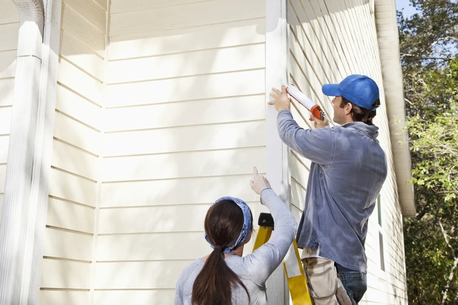 Window Replacement Services
