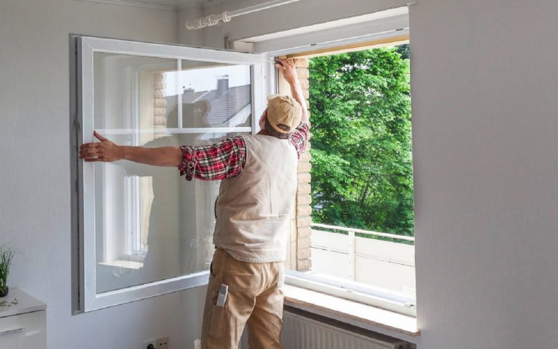 Window Replacement Services